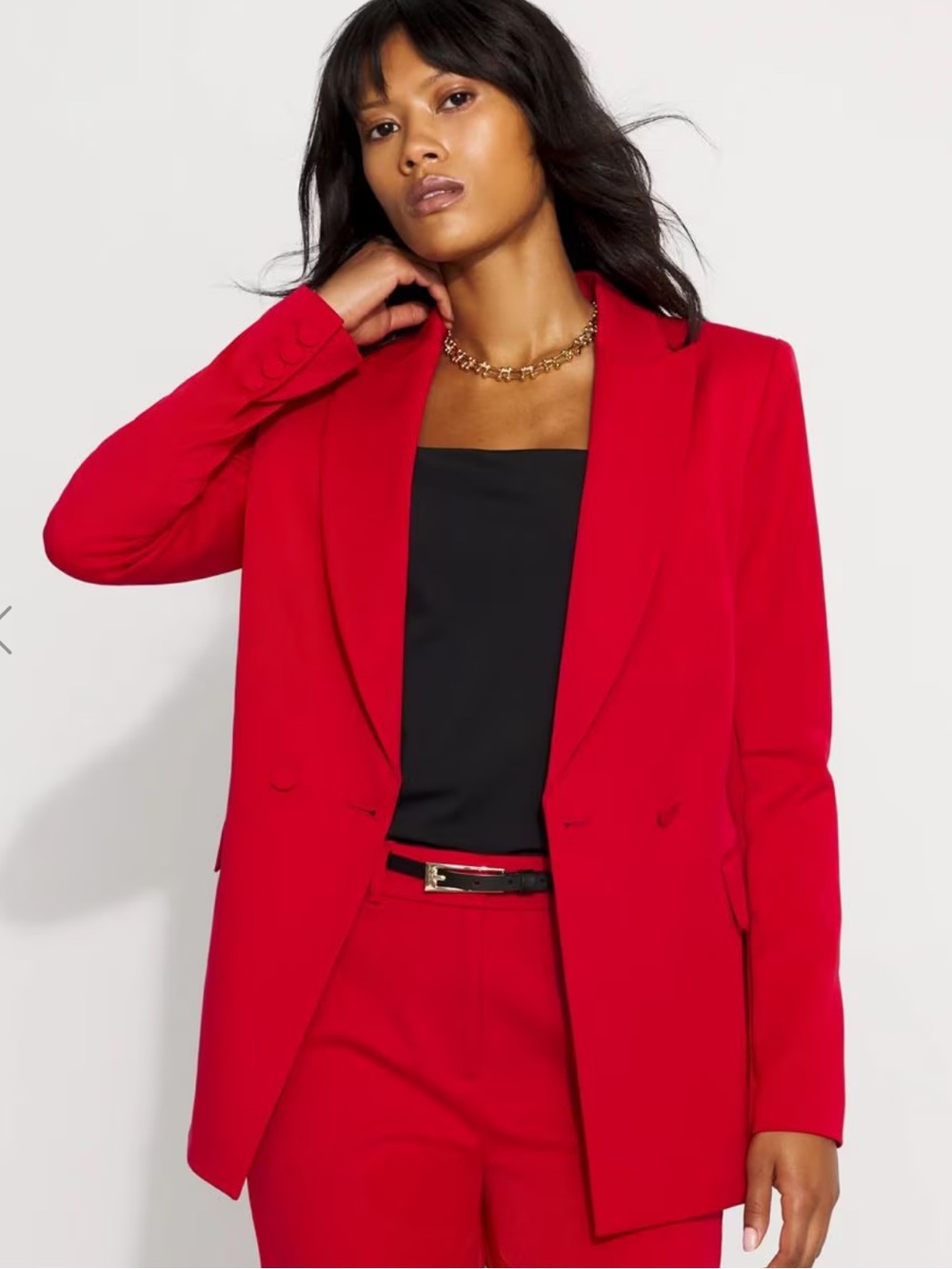 White House Black Market Double-Breasted Blazer
Color Ruby Rush